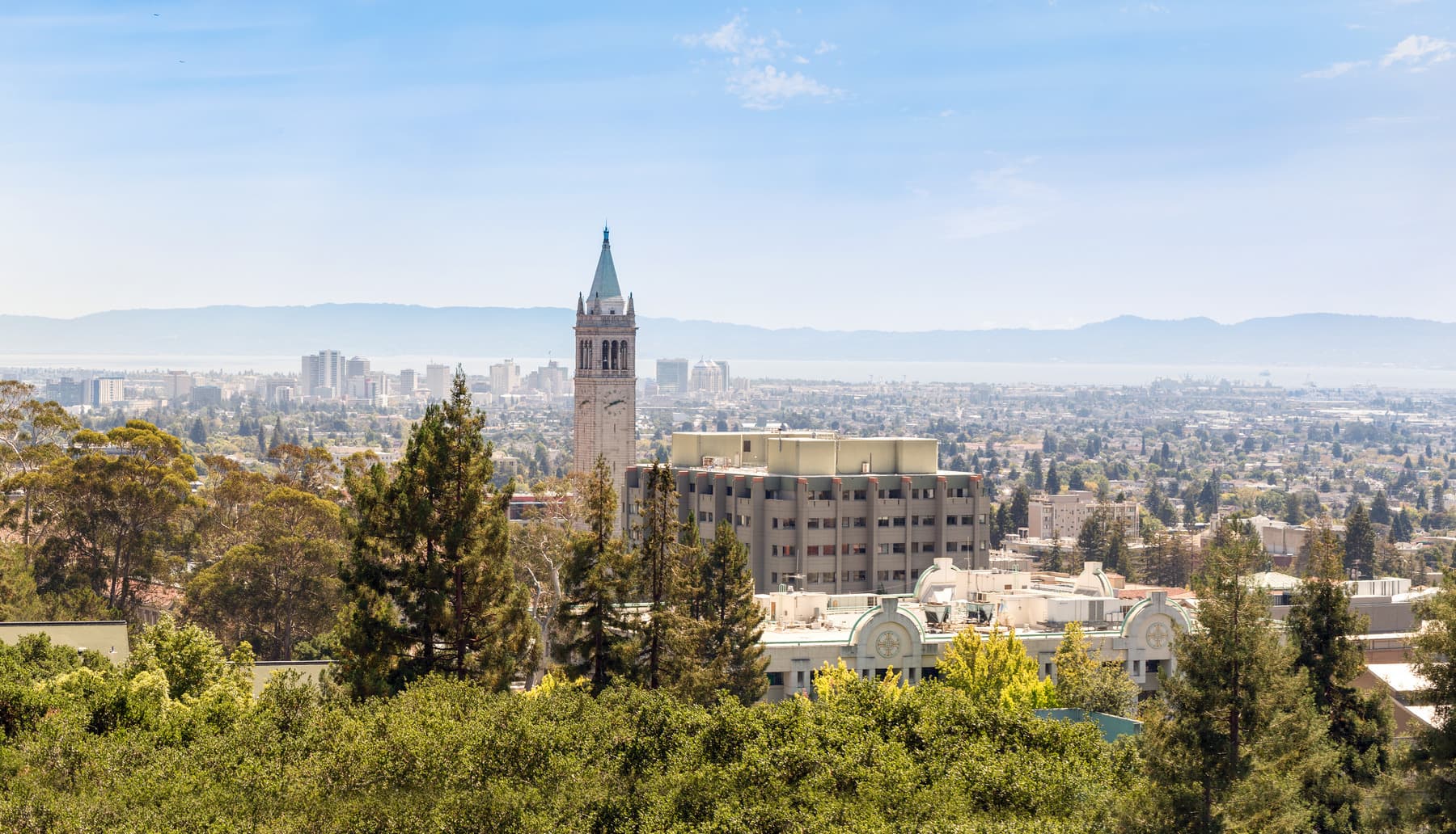 Catering services in Berkeley